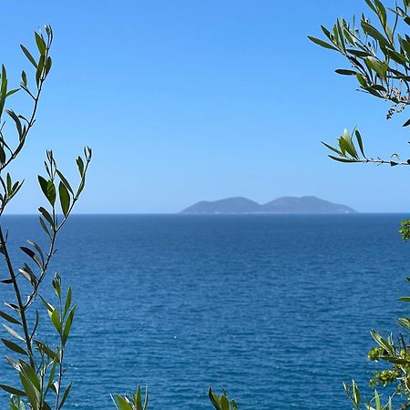 Spectacular Seaview Apartment Wlora Zewnętrze zdjęcie
